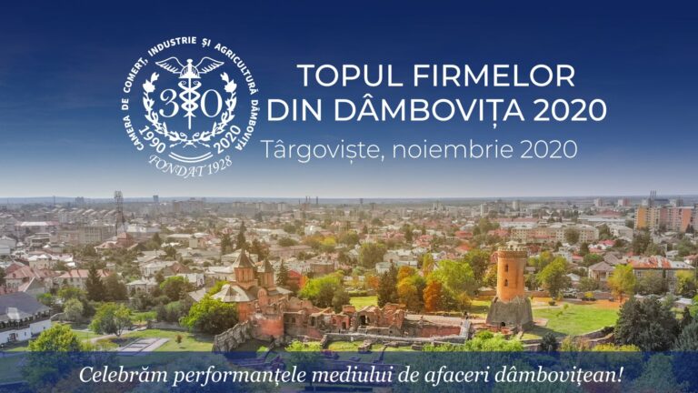 Read more about the article Topul firmelor din județul Dâmbovița 2020