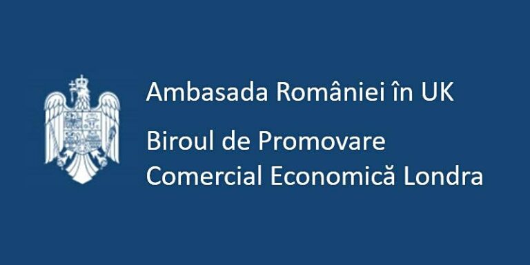 Read more about the article Cerințele Marii Britanii pentru transportatorii rutieri internaționali