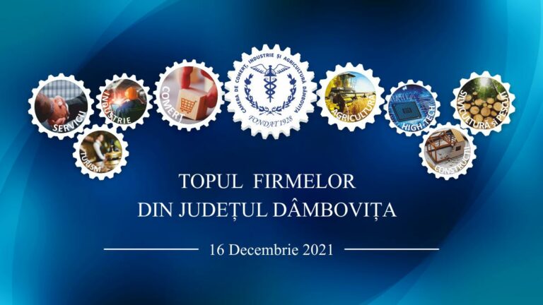 Read more about the article Topul Firmelor din Județul Dâmbovița 2021