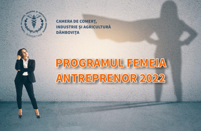 Read more about the article PROGRAMUL FEMEIA ANTREPRENOR 2022