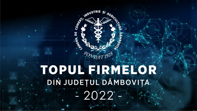Read more about the article Topul Firmelor din Județul Dâmbovița ediția a XXIX – a 2022