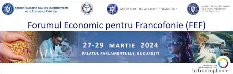 Read more about the article Forumul Economic pentru Francofonie (FEF)