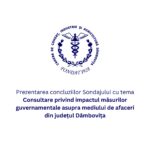 Prezentarea concluziilor Sondajului cu tema Consultare privind impactul măsurilor guvernamentale asupra mediului de afaceri din județul Dâmbovița