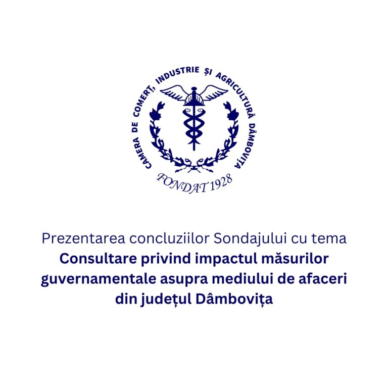 Read more about the article Prezentarea concluziilor Sondajului cu tema Consultare privind impactul măsurilor guvernamentale asupra mediului de afaceri din județul Dâmbovița